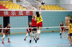 邮报：谢什科对曼联与纽卡都表达过兴趣，但他稍微倾向于红魔